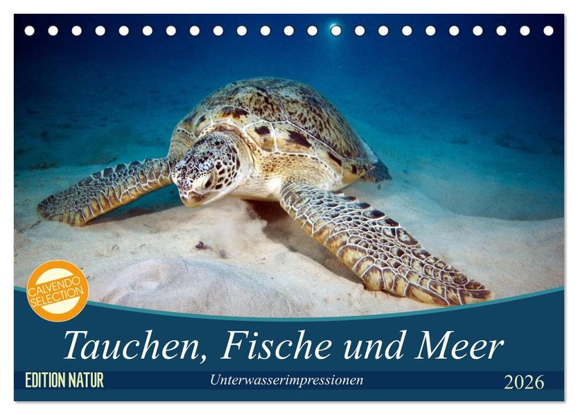 Tauchen Fische und Meer (Tischkalender 2026 DIN A5 quer) CALVENDO Monatskalender