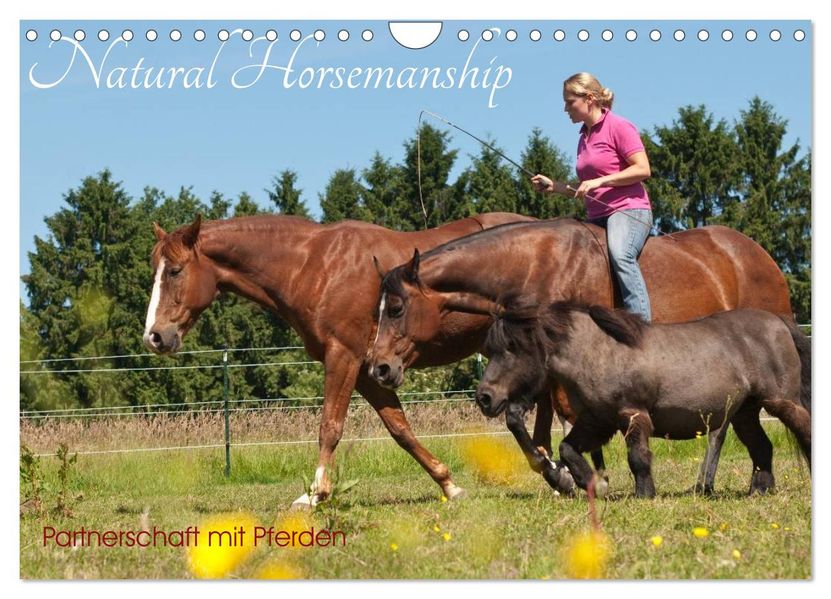 Natural Horsemanship - Partnerschaft mit Pferden (Wandkalender 2026 DIN A4 quer) CALVENDO Monatskalender