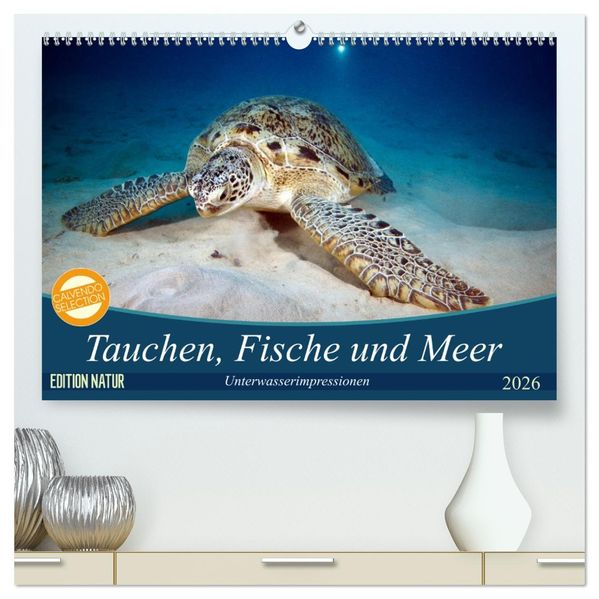Tauchen Fische und Meer (hochwertiger Premium Wandkalender 2026 DIN A2 quer) Kunstdruck in Hochglanz