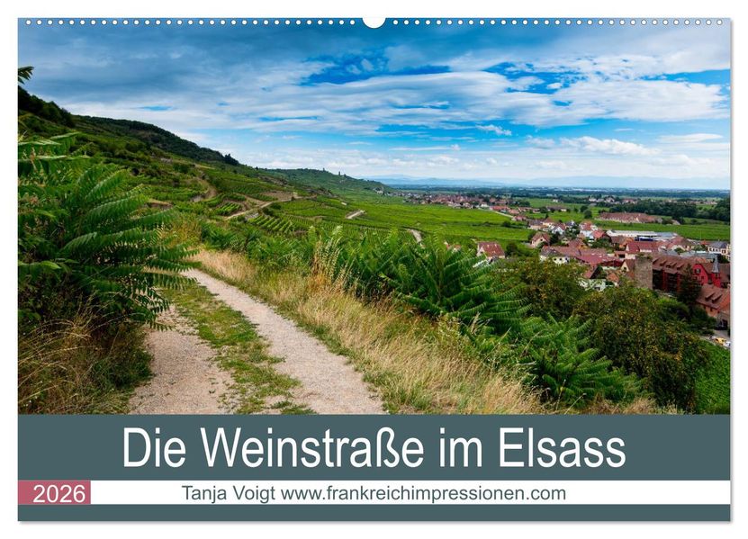 Die Weinstaße im Elsass (Wandkalender 2026 DIN A2 quer) CALVENDO Monatskalender