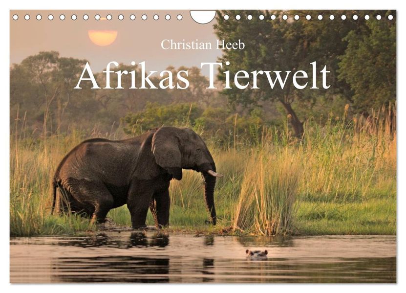 Afrikas Tierwelt Christian Heeb (Wandkalender 2026 DIN A4 quer) CALVENDO Monatskalender