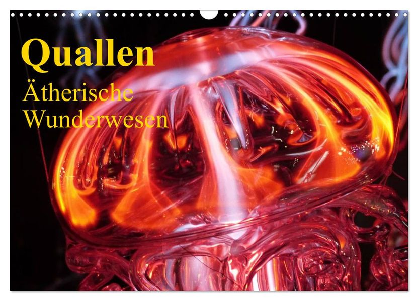 Quallen Ätherische Wunderwesen (Wandkalender 2026 DIN A3 quer) CALVENDO Monatskalender