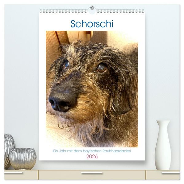 Schorschi - Ein Jahr mit dem bayrischen Rauhhaardackel (hochwertiger Premium Wandkalender 2026 DIN A2 hoch) Kunstdruck in Hochglanz