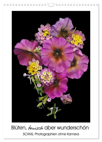 Blüten toxisch aber wunderschön (Wandkalender 2026 DIN A3 hoch) CALVENDO Monatskalender