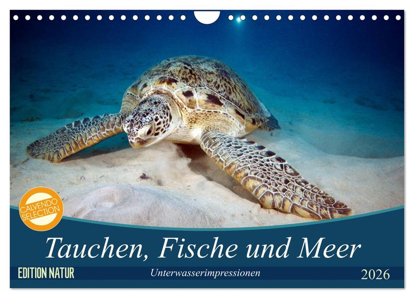 Tauchen Fische und Meer (Wandkalender 2026 DIN A4 quer) CALVENDO Monatskalender