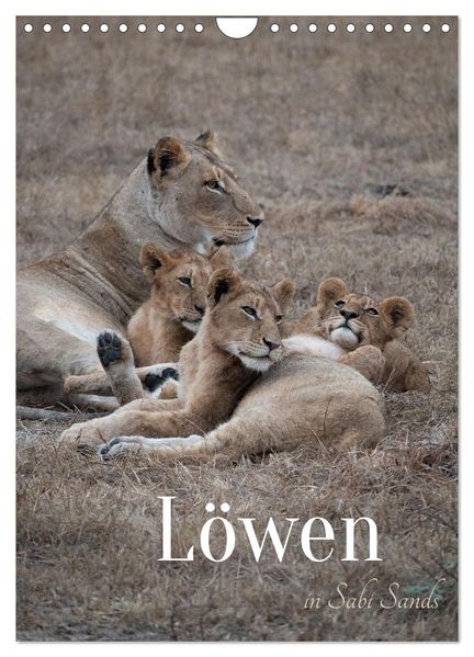 Löwen in Sabi Sands (Wandkalender 2026 DIN A4 hoch) CALVENDO Monatskalender