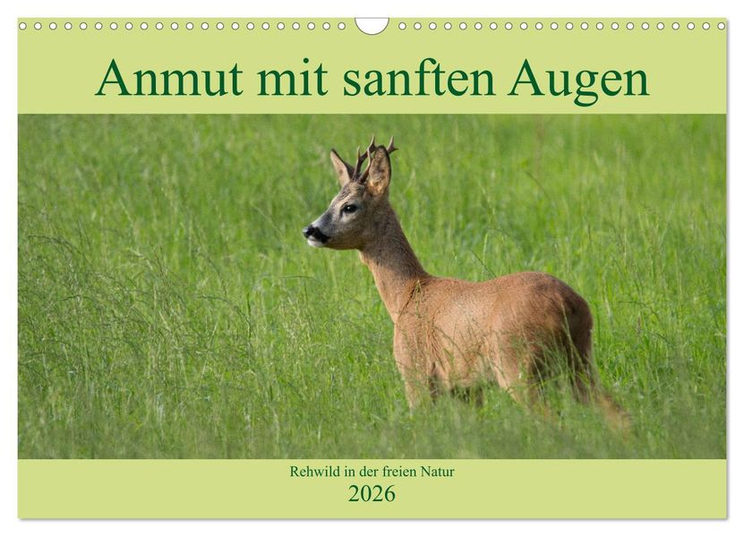 Anmut mit sanften Augen - Rehwild in der freien Natur (Wandkalender 2026 DIN A3 quer) CALVENDO Monatskalender