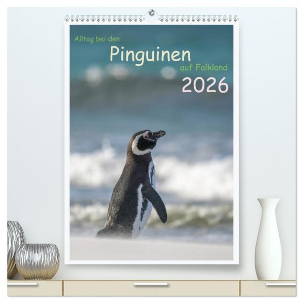 Alltag bei den Pinguinen auf Falkland (hochwertiger Premium Wandkalender 2026 DIN A2 hoch) Kunstdruck in Hochglanz