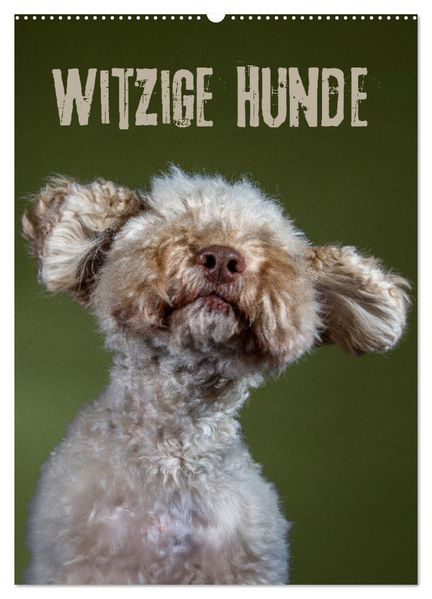 Witzige Hunde (Wandkalender 2026 DIN A2 hoch) CALVENDO Monatskalender