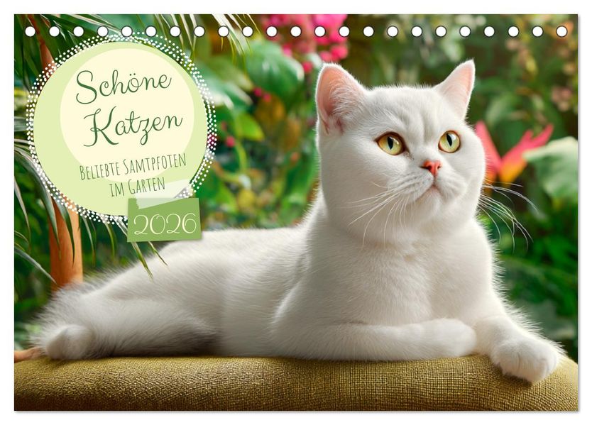 Schöne Katzen. Beliebte Samtpfoten im Garten (Tischkalender 2026 DIN A5 quer) CALVENDO Monatskalender