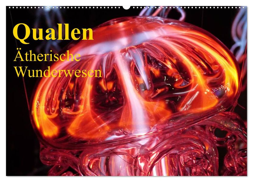 Quallen Ätherische Wunderwesen (Wandkalender 2026 DIN A2 quer) CALVENDO Monatskalender
