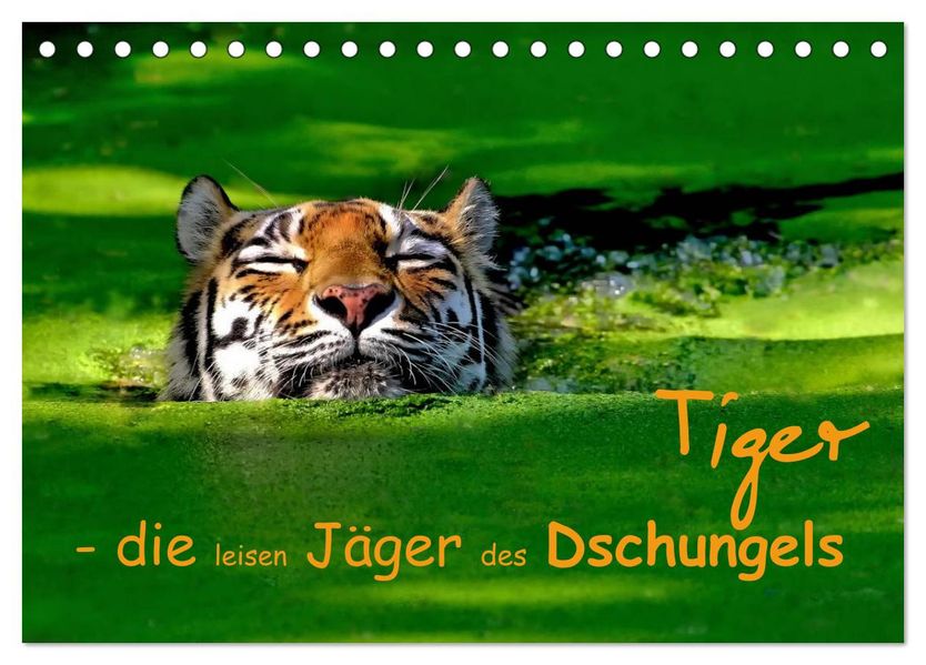 Tiger - die leisen Jäger des Dschungels (Tischkalender 2026 DIN A5 quer) CALVENDO Monatskalender