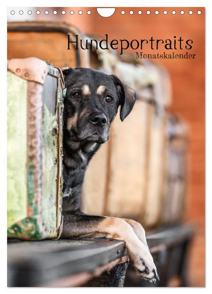 Hundeportraits - Monatskalender (Wandkalender 2026 DIN A4 hoch) CALVENDO Monatskalender