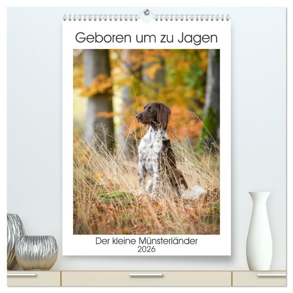 Geboren um zu Jagen. Der kleine Münsterländer (hochwertiger Premium Wandkalender 2026 DIN A2 hoch) Kunstdruck in Hochglanz