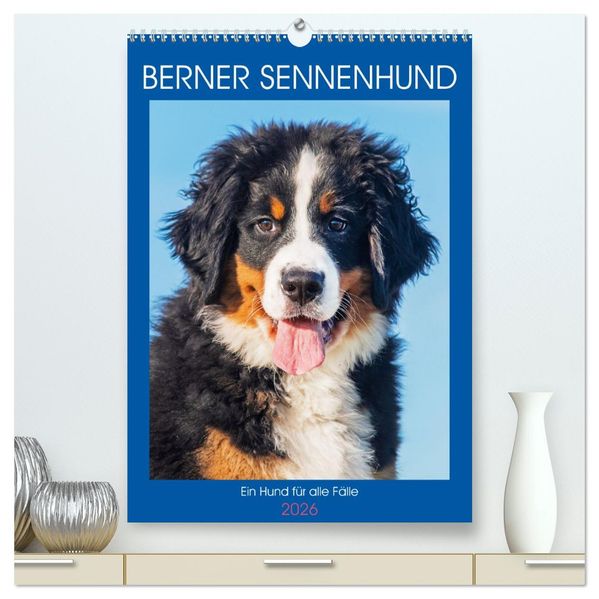 Berner Sennenhund - Ein Hund für alle Fälle (hochwertiger Premium Wandkalender 2026 DIN A2 hoch) Kunstdruck in Hochglanz