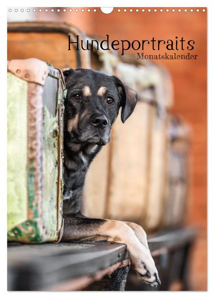 Hundeportraits - Monatskalender (Wandkalender 2026 DIN A3 hoch) CALVENDO Monatskalender