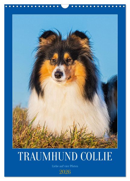 Traumhund Collie - Liebe auf vier Pfoten (Wandkalender 2026 DIN A3 hoch) CALVENDO Monatskalender