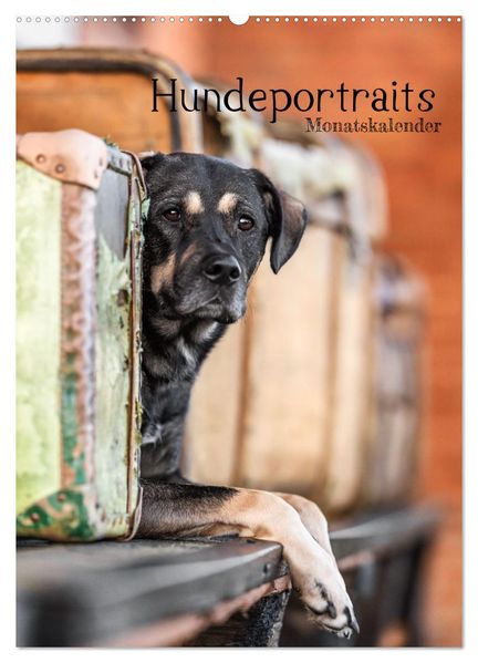 Hundeportraits - Monatskalender (Wandkalender 2026 DIN A2 hoch) CALVENDO Monatskalender