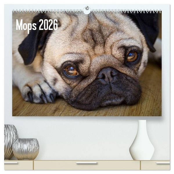 Mops 2026 (hochwertiger Premium Wandkalender 2026 DIN A2 quer) Kunstdruck in Hochglanz