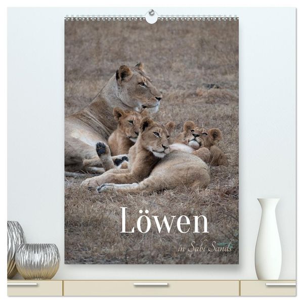 Löwen in Sabi Sands (hochwertiger Premium Wandkalender 2026 DIN A2 hoch) Kunstdruck in Hochglanz