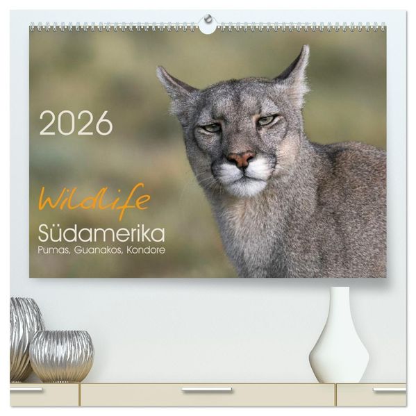 Wildlife Südamerika (hochwertiger Premium Wandkalender 2026 DIN A2 quer) Kunstdruck in Hochglanz