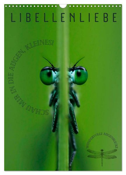 LibellenLiebe - Schau mir in die Augen Kleines! (Wandkalender 2026 DIN A3 hoch) CALVENDO Monatskalender