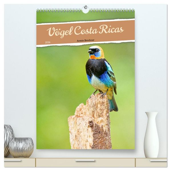 Vögel Costa Ricas (hochwertiger Premium Wandkalender 2026 DIN A2 hoch) Kunstdruck in Hochglanz