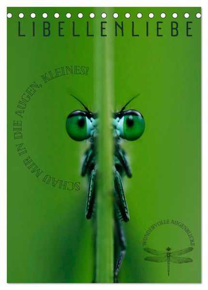 LibellenLiebe - Schau mir in die Augen Kleines! (Tischkalender 2026 DIN A5 hoch) CALVENDO Monatskalender
