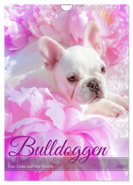 Bulldoggen (Wandkalender 2026 DIN A4 hoch) CALVENDO Monatskalender