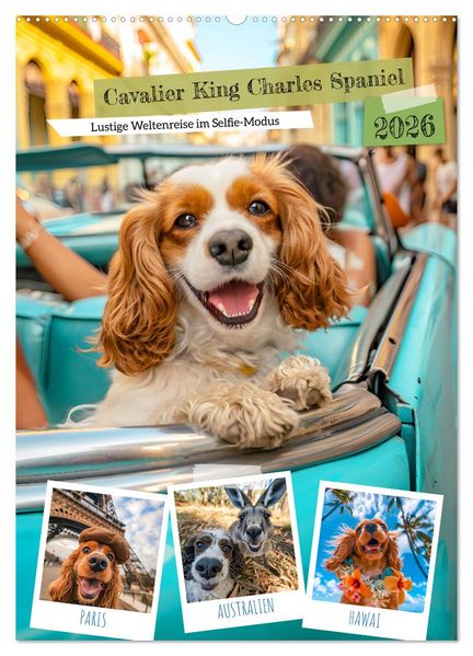 Cavalier King Charles Spaniel - Lustige Weltenreise im Selfie-Modus (Wandkalender 2026 DIN A2 hoch) CALVENDO Monatskalender