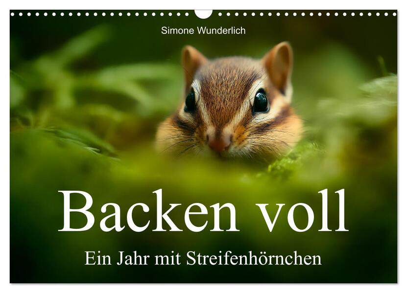 Backen voll - Ein Jahr mit Streifenhörnchen (Wandkalender 2026 DIN A3 quer) CALVENDO Monatskalender