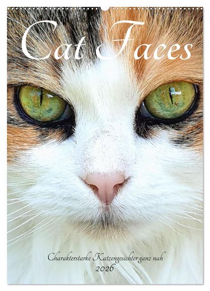 Cat Faces - Charakterstarke Katzengesichter ganz nah (Wandkalender 2026 DIN A2 hoch) CALVENDO Monatskalender