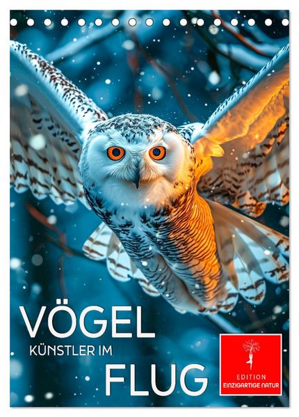 Vögel - Künstler im Flug (Tischkalender 2026 DIN A5 hoch) CALVENDO Monatskalender