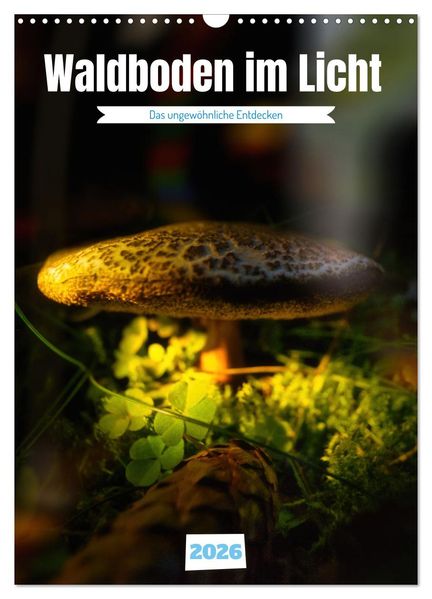 Waldboden im Licht (Wandkalender 2026 DIN A3 hoch) CALVENDO Monatskalender