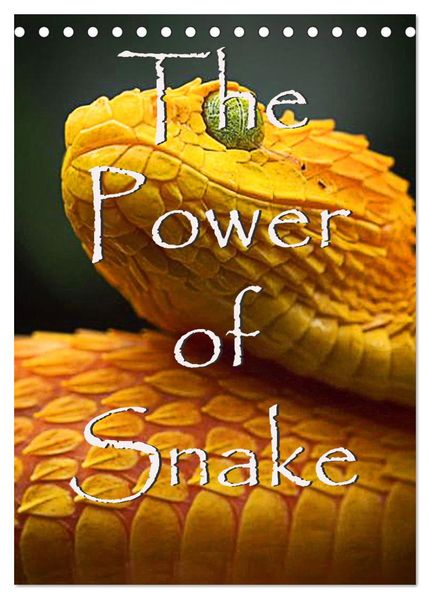 The Power Of Snake (Tischkalender 2026 DIN A5 hoch) CALVENDO Monatskalender