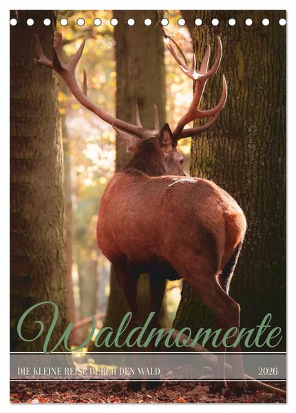 Waldmomente (Tischkalender 2026 DIN A5 hoch) CALVENDO Monatskalender