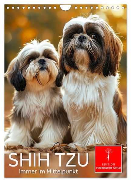 Shih Tzu - immer im Mittelpunkt (Wandkalender 2026 DIN A4 hoch) CALVENDO Monatskalender