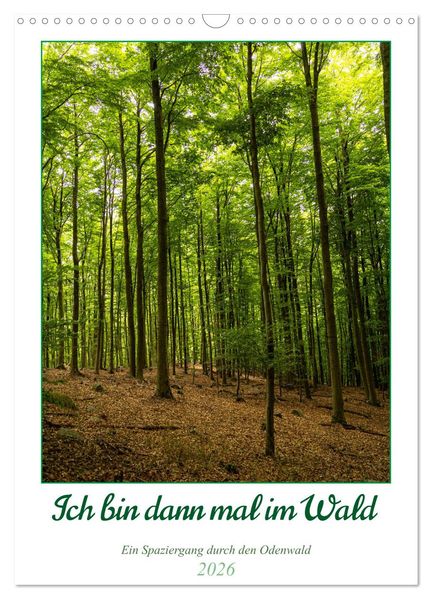 Ich bin dann mal im Wald (Wandkalender 2026 DIN A3 hoch) CALVENDO Monatskalender