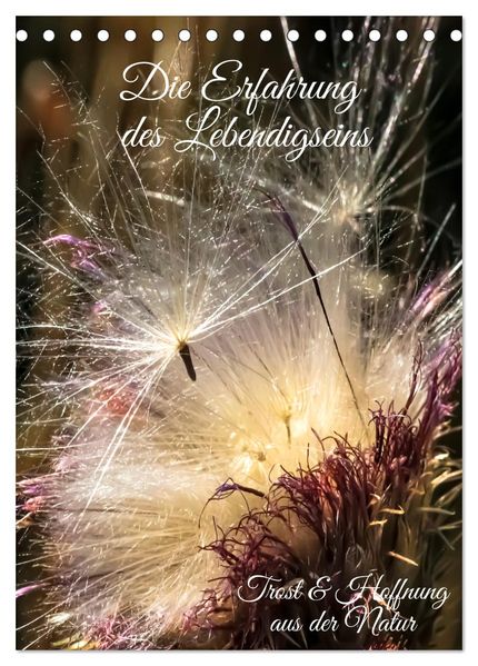 Die Erfahrung des Lebendigseins (Tischkalender 2026 DIN A5 hoch) CALVENDO Monatskalender