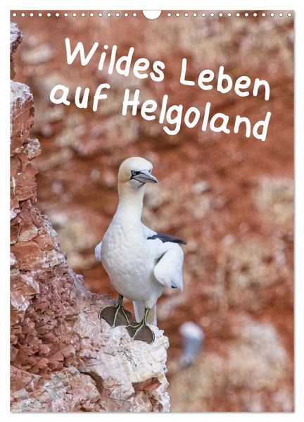 Wildes Leben auf Helgoland (Wandkalender 2026 DIN A3 hoch) CALVENDO Monatskalender