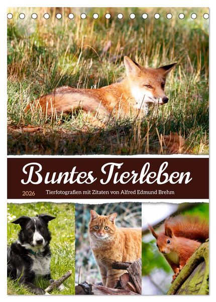 Buntes Tierleben (Tischkalender 2026 DIN A5 hoch) CALVENDO Monatskalender