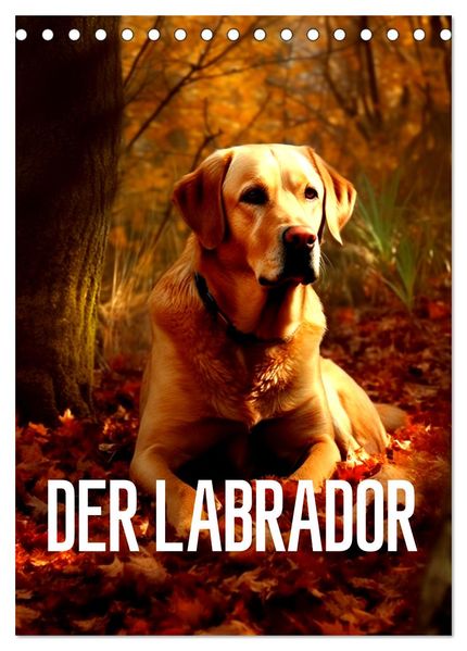 Der Labrador (Tischkalender 2026 DIN A5 hoch) CALVENDO Monatskalender