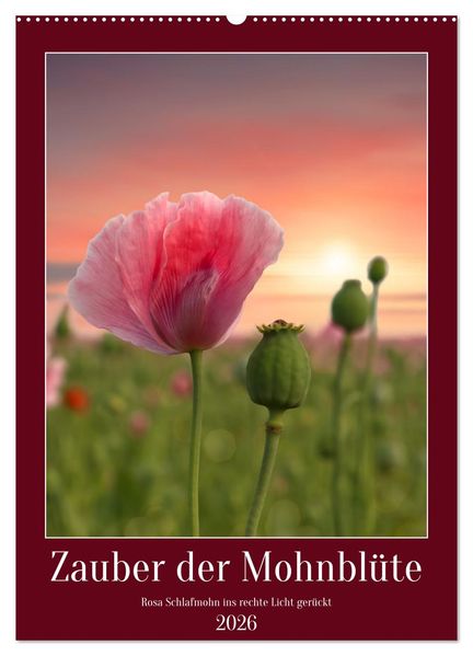 Zauber der Mohnblüte (Wandkalender 2026 DIN A2 hoch) CALVENDO Monatskalender