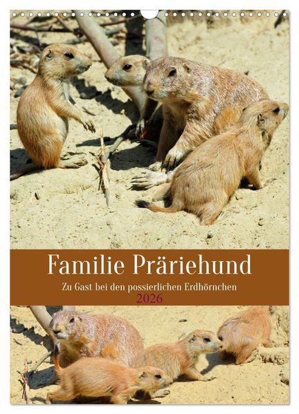 Familie Präriehund (Wandkalender 2026 DIN A3 hoch) CALVENDO Monatskalender