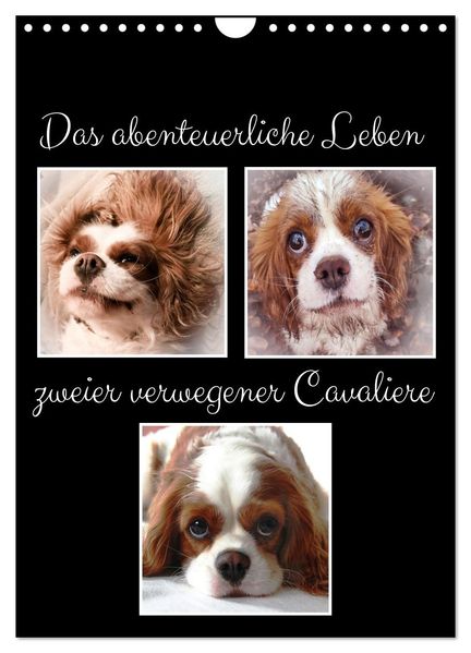 Das abenteuerliche Leben zweier verwegener Cavaliere (Wandkalender 2026 DIN A4 hoch) CALVENDO Monatskalender