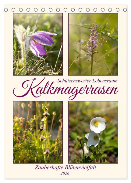 Kalkmagerrasen (Tischkalender 2026 DIN A5 hoch) CALVENDO Monatskalender