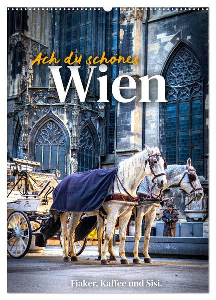 Ach du schönes Wien (Wandkalender 2026 DIN A2 hoch) CALVENDO Monatskalender