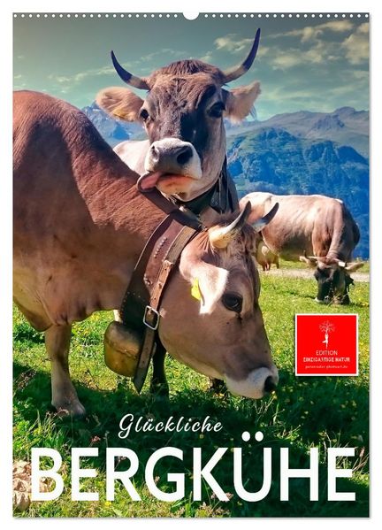Glückliche Bergkühe (Wandkalender 2026 DIN A2 hoch) CALVENDO Monatskalender