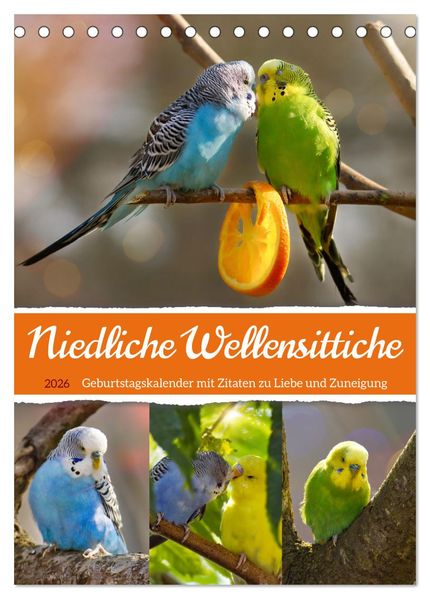 Niedliche Wellensittiche (Tischkalender 2026 DIN A5 hoch) CALVENDO Monatskalender