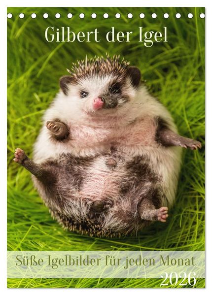 Gilbert der Igel (Tischkalender 2026 DIN A5 hoch) CALVENDO Monatskalender